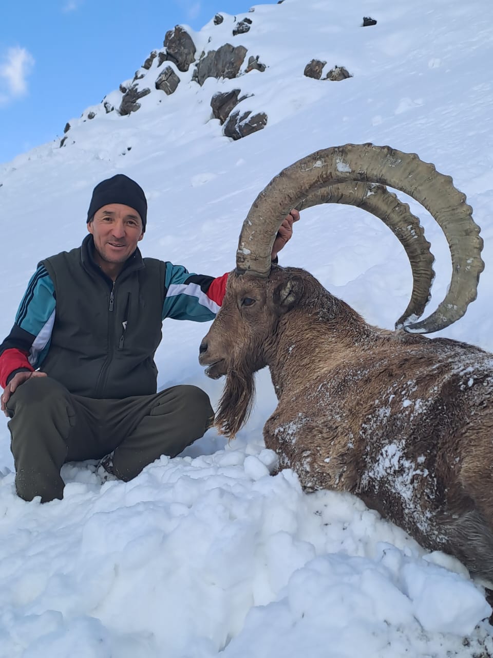 Hunter with a large Mid-Asian ibex in the snow